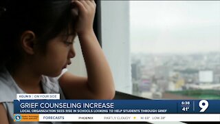 Local organization sees increase in grief counseling training sessions for schools