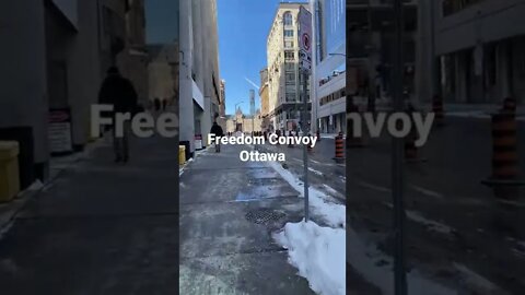 The Freedom Convoy Begins in Ottawa! Live footage!