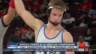 11 local wrestlers medal at state championships