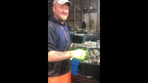 Captain Bill Smith of the Susan H Clam Dredge Boat