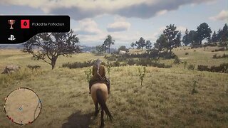 Red Dead Redemption 2 horseback riding