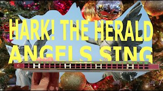 How to Play Hark the Herald Angels Sing on a Tremolo Harmonica with 24 Holes