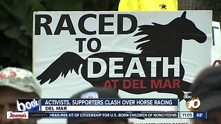 Activists, supporters clash over horse racing