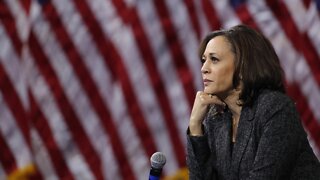 Congressional Black Caucus Vice Chair Reacts to Harris as VP Pick