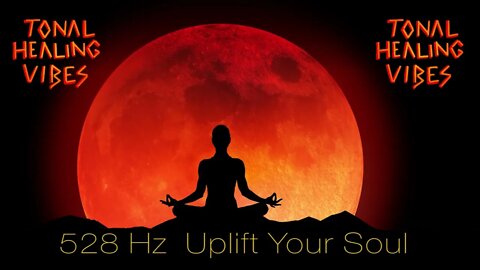 528Hz Uplift Your Soul | Short Video | Quick Manifestation