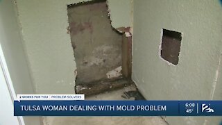 Renters Rights: How to deal with a mold problem