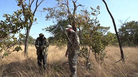 Game Scout Finds and Explains a Poacher's Line on Safari