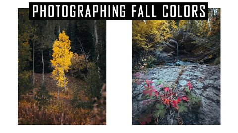Photographing Autumn Colors | Lumix G9 Landscape Photography