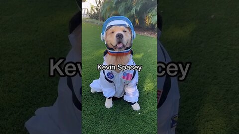 Kevin leaves earth #shorts #goldenretriever #doglover #dogsofinstagram