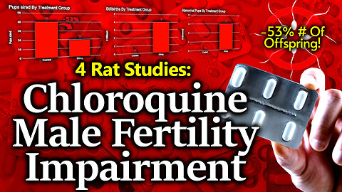 GENOCIDE: Chloroquine Devastates Male Rat Fertility: 4 Rat Studies Show Massively Deleterious Effect