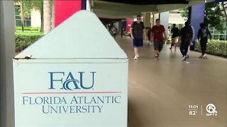 FAU launches campaigns to prevent domestic violence