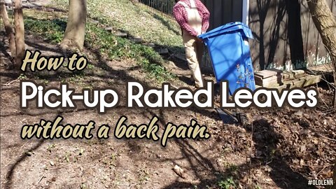How to Pick Up Raked Leaves Without a Back Pain