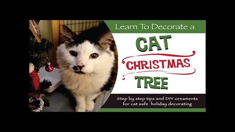 Purr View: How To decorate a Cat Christmas Memory Tree