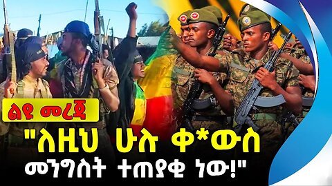 "ለዚህ ሁሉ ቀ*ውስ መንግስት ተጠያቂ ነው!" | አማራ ፋኖ | ethiopia | addis ababa | amhara | oromo