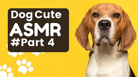 Dog cute ASMR clips Part 4