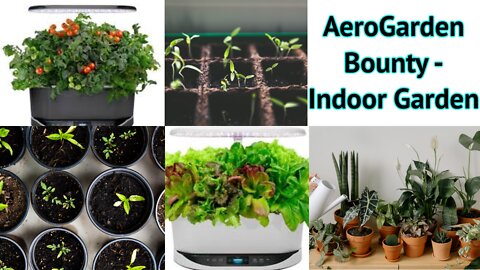 #AeroGarden_Bounty _Indoor_Garden