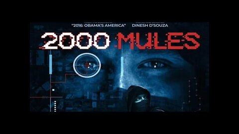 2000 Mules And Why I can't Talk About It On Youtube