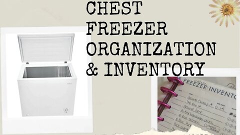 Freezer inventory & organization