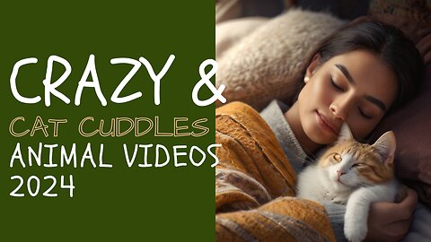 Crazy and Cat Cuddles video 2024 | Funny animals 2024 #cat #CalmSleep