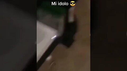 Chica Le Puso Una Prueba... Su Repuesta La Dejo Loca