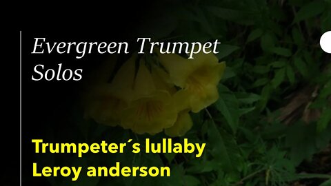 🎺🎺🎺🎺 [TRUMPET SOLO] Trumpeter´s Lullaby, Leroy Anderson