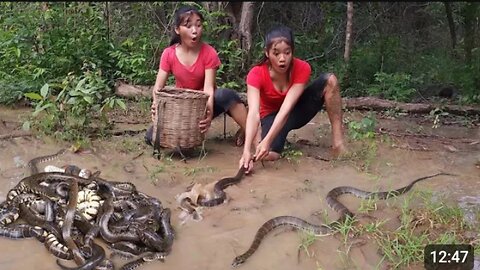 A_lot_snake_in_the_rainforest,_Catch_snake_for_survival_food_-_Snake_soup_spicy_Eating_delicious