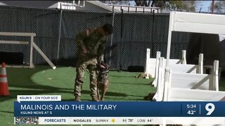 Military dog forms bond with soldier