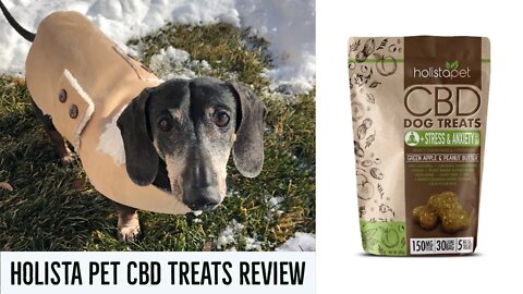 HolistaPet CBD Dog Treat Review