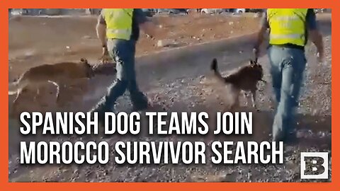 Spanish Dog Teams Aid Morocco's Earthquake Search and Rescue Efforts