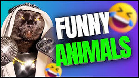 Funny animal videos 2024 - Funny cats/dogs - Funny animals