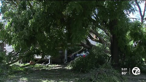 Storm rips through parts of Port Huron leaving downed power lines, destroying countless trees