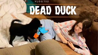 DEAD DUCK