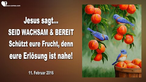 11.02.2016 ❤️ Jesus sagt... Seid wachsam und bereit und schützt eure Frucht, denn eure Erlösung ist nahe