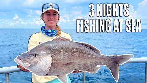 Big Fish Caught with NEW Reels on 3 Night Fishing Trip!