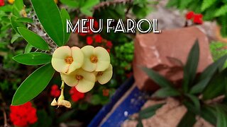 🙏🏻🙏🏻Jardim de Louvor 2 -(MEU FAROL)🙏🙏