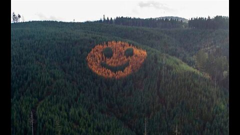 FRIDAY FUN - OREGON DRIVERS GIVEN A BIG SMILEY FACE IN THE TREES IN THE FALL