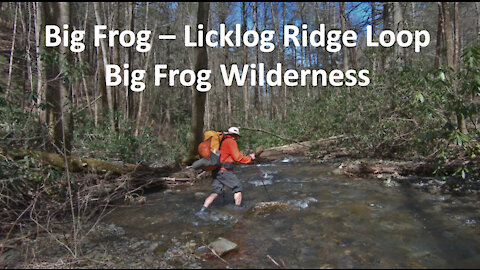 Big Frog - Licklog Ridge Loop: Big Frog Wilderness