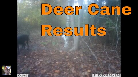 Deer Cane Results