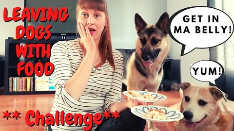 Dog Food Challenge | Are Maple and Ruckus Bad To The Bone?