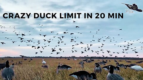 We Shot an 8-Man DUCK LIMIT in 20 Minutes: The Biggest Volley I've Ever Witnessed
