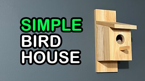 Simple Bird House | Shop Noise