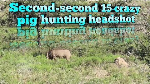 seconds seconds 15 crazy pig hunting headshot