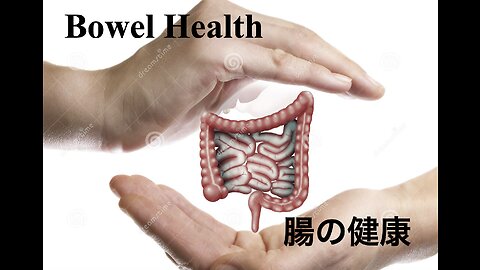 Bowel Health ／ 腸の健康