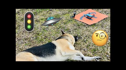 Do You Need a Drone Landing Pad? DJI Spark Initial Landing Impressions