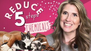 5 Ways To Reduce Chemical Load In Your Pet