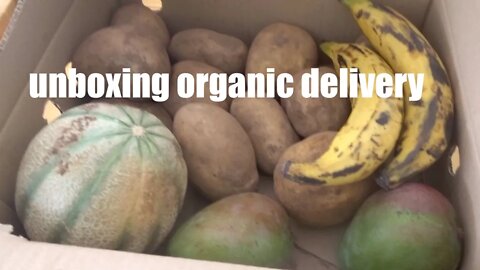Unboxing organic delivery reveal of local, seasonal healthy ingredients to stay fit and slim. #02
