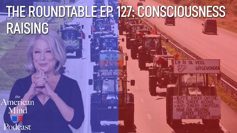 Consciousness Raising | The Roundtable Ep. 127 by The American Mind