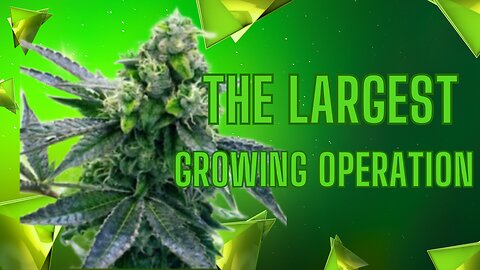 Largest Grower in America