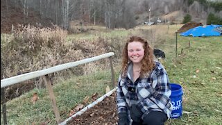 Winterizing the Strawberries