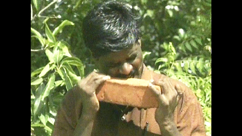 Guy Eats Bricks